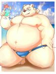  2023 anthro beach bear belly big_belly bulge clothing cloud daiwahouse0105 eyewear glasses hi_res humanoid_hands kemono leib_(tas) lifewonders male mammal moobs navel nipples outside overweight overweight_male polar_bear seaside solo swimwear tokyo_afterschool_summoners ursine 