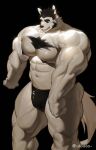  2023 abs anthro artist_name big_biceps big_deltoids big_pecs big_triceps black_background black_hair black_nipples canid canine canis chest_tuft clenched_teeth clothed clothing doooo2424 facial_hair flexing_muscles fur hair hi_res male mammal muscular muscular_anthro muscular_male muscular_thighs navel nipples pecs sideburns simple_background solo teeth thong thong_only topless tuft twitter_handle underwear underwear_only vein veiny_muscles white_body white_fur wolf 