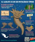  ambiguous_gender amphibian axolotl bubble environmentalism greenpeace hi_res infographic marine mexico mole_salamander plant sad salamander simple_background spanish_text text water 