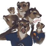  1:1 2022 anthro blep blue_clothing blue_shirt blue_t-shirt blue_topwear brown_body brown_fur clothed clothing dated ear_piercing ear_ring fangs front_view fur green_eyes head_tuft herpestid holding_card horizontal_pupils lostgoose male mammal mongoose mouth_closed open_mouth piercing pupils red_tongue ring_piercing shirt side_view signature simple_background sketch_page solo t-shirt teeth tongue tongue_out topwear tuft white_background 