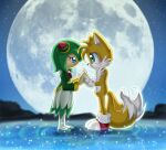  anthro blue_eyes blush canid canine clothed clothing cosmo_the_seedrian digital_media_(artwork) duo elemental_creature eyelashes female fingers flora_fauna fox gloves hair hand_holding handwear humanoid lake male male/female mammal metalpandora miles_prower moon outside plant seedrian sega smile sonic_the_hedgehog_(series) sonic_x water 