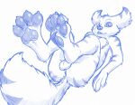  anthro anus balls blizzard_entertainment butt canid claws feet foot_fetish genitals hindpaw legs_in_air looking_at_viewer male mammal midnite paws presenting presenting_hindquarters sketch sketchy soles solo spread_toes supplepaws toe_claws toes vulpera warcraft 