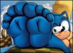  4_toes anthro biped feet foot_fetish foot_focus looking_at_viewer male sega sokz soles solo sonic_the_hedgehog sonic_the_hedgehog_(series) toes 