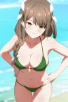  1girl beach bikini blue_sky braid braided_ponytail breasts brown_hair cleavage closed_mouth day english_commentary entogman fire_emblem fire_emblem_engage goldmary_(fire_emblem) green_bikini hair_over_shoulder hands_on_own_hips highres large_breasts long_hair looking_at_viewer navel ocean outdoors sky smile solo stomach swimsuit thigh_gap thighs yellow_eyes 