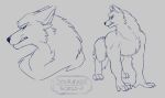  all_fours anthro canid canine canis claws ears_back feral fluffy growling male mammal paws pivoted_ears sketch snarling solo sourmagic tail_down wolf 