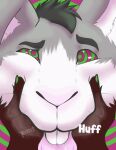  animated floofthefennec fluffy hypno_(disambiguation) hypnotize lagomorph leporid mammal mcfloof rabbit 