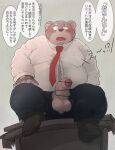  2023 absurd_res anthro balls bear belly big_belly blush bottomwear censored clothing dumdum erection genitals hi_res japanese_text kemono male mammal overweight overweight_male pants penis shirt sitting solo text topwear 