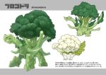  animal_focus broccoli cauliflower character_name closed_mouth commentary_request english_text food_focus from_side full_body highres kumakoro_(tetsupag) leaf mixed-language_text multiple_views no_humans open_mouth original profile red_eyes simple_background standing white_background 