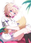  1girl :d absurdres animal_collar animal_ear_fluff animal_ears blonde_hair blue_eyes chain chain_leash collar creature crop_top cropped_shirt dog_ears dog_girl dog_tail fangs hairband highres hololive hololive_english leash looking_at_viewer mococo_abyssgard multicolored_hair navel netillustrator open_mouth perroccino_(fuwamoco) pink_hair pink_hairband shirt short_hair short_shorts shorts sitting sleeping smile stomach tail two-tone_hair virtual_youtuber white_shirt white_shorts 
