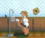  absurd_res anthro bathroom canid canine chaseb2 enema enema_bag female fox fruitbuffalo hi_res inflation mammal solo 