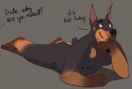  anthro black_body black_fur black_nose brown_body brown_fur butt canid canine canis dante_(doberoo) dialogue dobermann doberoo docked_tail domestic_dog english_text fur hi_res lying male mammal nude overweight overweight_male pinscher short_tail solo tail text 