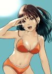  1girl bikini black_eyes black_hair breasts cana_die collarbone commentary_request cropped_legs day long_hair looking_at_viewer navel open_mouth orange_bikini original side_ponytail sky solo sun swimsuit teeth upper_teeth_only 