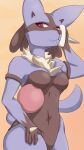  absurd_res anthro bodily_fluids canid canine clothed clothing female fur generation_4_pokemon hi_res looking_at_viewer lucario mammal neck_tuft nintendo one-piece_swimsuit pokemon pokemon_(species) shaded simple_background smile solo sweat swimwear tail tuft velavhei 