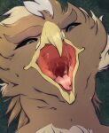  ambiguous_gender avian beak black_sclera blue_eyes blue_pupils bodily_fluids brown_body front_view hi_res lionfloof mouth_shot open_mouth pupils red_tongue saliva saliva_string simple_background solo tongue uvula yellow_beak 