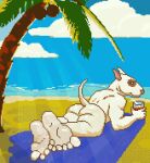  anthro beach beach_towel beverage bull_terrier butt canid canine canis domestic_dog feet foot_fetish foot_focus hindpaw hunting_dog lying male mammal nude nude_beach on_front palm_tree paws plant raised_tail sand seaside sky solo sunbathing sunny tail terrier towel tree u4e u4e_(character) 