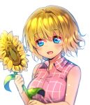  1girl air_(visual_novel) alternate_hair_length alternate_hairstyle bare_arms blonde_hair blue_eyes blurry blush breasts chinese_commentary collared_shirt commentary_request depth_of_field eyelashes eyes_visible_through_hair flower hair_between_eyes holding holding_flower kamio_misuzu large_breasts lliissaawwuu2 looking_at_flowers open_mouth pink_shirt plaid plaid_shirt shirt short_hair simple_background sleeveless sleeveless_shirt smile solo sunflower upper_body white_background 