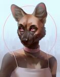  anthro artist_name brown_body brown_fur brown_nose bust_portrait clothed clothing collar female front_view fur glistening glistening_eyes hi_res looking_aside marie_merkh mouth_closed orange_body orange_fur pink_collar pink_eyes portrait pupils red_pupils simple_background solo topwear white_clothing white_topwear 
