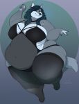  2022 absurd_res anthro bedroom_eyes belly big_belly big_breasts blue_eyes blue_hair breasts canid clothing female fur grey_body grey_fur hair hi_res legwear looking_at_viewer mammal narrowed_eyes navel obese obese_anthro obese_female overweight overweight_anthro overweight_female remivalism seductive simple_background smile solo stockings 