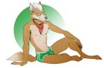  abs anthro bulge canid canine clothing dragondrawer fox fox_mccloud hair hi_res looking_at_viewer male mammal neckerchief nintendo shirtless smile smug solo star_fox underwear white_hair 