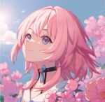  1girl bird black_choker blue_eyes blue_sky blurry bokeh chinese_commentary choker chromatic_aberration closed_mouth cloud collarbone depth_of_field flower from_side hair_between_eyes highres honkai:_star_rail honkai_(series) huang_tie_lin looking_up march_7th_(honkai:_star_rail) medium_hair pink_eyes pink_hair portrait shirt sky solo sun two-tone_eyes white_shirt 