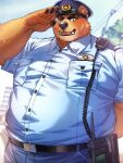  anthro bear belly brown_body brown_fur eyebrows fur gesture green_eyes hi_res kemono male mammal oaks16 overweight pawpads police_hat police_officer salute scar solo thick_eyebrows 
