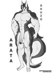  abs absurd_res anthro arata_(batmanholecover) batmanholecover big_muscles blue_eyes canid canine foreskin genitals hi_res male mammal muscular muscular_male nude penis solo watermark 