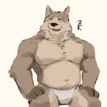  1:1 3000vnd anthro bottomwear brown_body brown_fur canid canine canis cannie clothed clothing fur hi_res male mammal multicolored_body multicolored_fur muscular muscular_male overweight overweight_male sitting solo topless two_tone_body two_tone_fur underwear wolf 