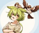  1girl :3 alternate_costume animal_on_head bird bird_on_head bird_request blue_background blush brown_shirt commentary_request crossed_arms dutch_angle green_hair highres long_hair looking_at_animal looking_up low_ponytail multicolored_background natsu_tuna off_shoulder on_head open_mouth orange_eyes raised_eyebrows shirt short_sleeves solo spaghetti_strap upper_body voicevox white_background zundamon 