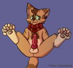  anthro balls brown_body brown_fur domestic_cat felid feline felis fur genitals male mammal mostly_nude ozul paws penis presenting presenting_penis red_scarf scarf scarf_only shadowkat simple_background sitting solo tail 