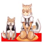  1girl absurdres animal animal_ears between_legs blush bodystocking brown_hair buttons closed_mouth creature_and_personification fox fox_ears fox_girl fox_tail full_body fur_collar hakumaiya hand_between_legs highres kemono_friends layered_sleeves light_brown_hair long_sleeves looking_at_viewer medium_hair microskirt multicolored_hair necktie open_clothes open_vest own_hands_together parted_bangs pillow pleated_skirt seiza shirt short_over_long_sleeves short_sleeves sitting skirt smile tail tibetan_fox_(kemono_friends) tibetan_sand_fox v_arms vest white_hair yellow_eyes 