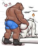  alanottaviano anal anthro barazoku bear belly brown_bear brown_body brown_fur clothing duo footwear fur genitals grizzly_bear male male/male mammal musclegut muscular muscular_male overweight overweight_male penis polar_bear sex socks ursine 