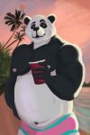  2:3 alcohol anthro beach bear beverage clothing colored drunk evening giant_panda male mammal nipples outside overweight palm_tree party plant seaside slightly_chubby smile solo substance_intoxication summer sunset swimming_trunks swimwear tree zwodder 