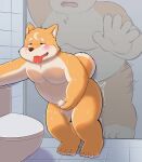  2023 4_toes aciag ahegao anthro bathroom bent_legs blush bodily_fluids canid canine canis chubby_male domestic_dog duo eyebrows fangs feet fur half-closed_eyes hi_res looking_pleasured male male/male mammal markings masturbation moon_(marking) narrowed_eyes open_mouth orange_body orange_fur overweight overweight_male penetration public public_restroom public_sex public_use raised_tail restroom_stall sex shaking size_difference smaller_penetrated sweat tail teeth toes tongue trembling 