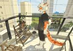  anthro barefoot biped bottomwear building clothed clothing countershade_face countershade_fur countershade_neck countershading domestic_cat eyebrows feet felid feline felis fingers fur hair happy hu_ku_li_(milkytiger1145) kemono male mammal milkytiger1145 open_mouth open_smile orange_body orange_fur plant plant_pot potted_plant shirt shorts smile solo tail topwear 