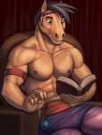  abs anthro book clothed clothing equid equine green_eyes hi_res horse male mammal marsel-defender muscular muscular_anthro muscular_male nipples pecs pony reading reading_book solo tida 