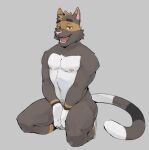  anthro barley_(barleythecat) covering covering_crotch domestic_cat felid feline felis gato_matero hiding_penis kneeling looking_at_viewer male mammal muscular muscular_male nipples nude red_eyes simple_background solo 