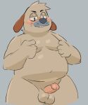  anthro balls beagle belly bill_beagle blush canid canine canis dog_ears domestic_dog ears_down erection genitals hunting_dog male mammal nipple_fetish nipple_play nude penis pivoted_ears scent_hound slightly_chubby solo unknown_artist 