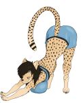  accessory anthro bra cheetah clothing felid feline female hair_accessory hairpin hi_res mammal solo sports_bra stretching underwear xvii_(artist) 