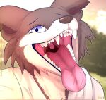  anthro beastars bodily_fluids brown_body brown_fur canid canine canis clothed clothing digital_media_(artwork) fangs female fur hi_res juno_(beastars) looking_at_viewer mammal mouth_shot open_mouth saliva saliva_string solo teeth throat tongue tongue_out uvula vraze wolf 