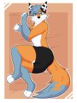  absurd_res andromorph anthro blue_eyes boxers_(clothing) canid canine clothing fox fox_tail fur galaxymaw hi_res intersex mammal orange_body orange_fur rayfaux solo underwear 