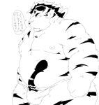  2023 anthro asian_clothing belly big_belly bulge clothing east_asian_clothing felid fundoshi hi_res hitachi_(tamacolle) japanese_clothing japanese_text kemono male mammal moobs nipples overweight overweight_male pantherine simple_background solo tamacolle text tiger underwear white_background 