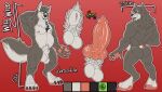  absurd_res animal_genitalia balls canid canine canine_genitalia canis genitals hi_res iceroyz male mammal model_sheet muscular muscular_male penis simple_background solo text vein veiny_penis will_wild_(papawerewol) wolf 