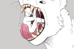  3:2 ambiguous_gender bodily_fluids duo feral fur hi_res human imperatorcaesar in_mouth mammal mouth_shot nude open_mouth pink_tongue saliva saliva_string tan_teeth tongue tongue_out white_body white_fur 