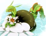  2018 3_claws ambiguous_gender biozs black_body black_sclera claws clothing cute_fangs digital_drawing_(artwork) digital_media_(artwork) feral floating generation_3_pokemon green_body legendary_pokemon long_neck long_tail maid_uniform nintendo partially_submerged pokemon pokemon_(species) rayquaza red_body signature simple_background solo tail teeth uniform water yellow_body yellow_eyes 