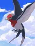  animal_focus bird black_eyes blue_sky claws cloud commentary_request day flying from_side full_body highres katamuki looking_up no_humans open_mouth outdoors partial_commentary pokemon pokemon_(creature) sky solo spread_wings taillow 