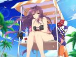  1girl bikini binoculars black_bikini black_ribbon blush bottle breast_hold breasts cleavage coconut coconut_tree collarbone day falling_petals first_aid_kit floating_hair frilled_bikini frills hair_ribbon hat highres innertube large_breasts lens_flare lifeguard lifeguard_chair long_hair looking_at_viewer murasaki_(senran_kagura) official_art outdoors palm_leaf palm_tree petals pink_bikini purple_eyes purple_hair ribbon senran_kagura senran_kagura_estival_versus senran_kagura_new_link senran_kagura_shinovi_versus sitting sky smile solo stuffed_animal stuffed_toy swimsuit teddy_bear tree very_long_hair water_bottle yaegashi_nan 