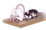  anus black_hair blue_eyes blush female feral fur genitals hair hi_res looking_back mammal mouse mouse_trap murid murine noronori open_mouth pussy raised_tail rear_view rodent solo tail trap_(contrivance) white_body white_fur 