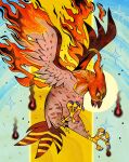  1other absurdres bird bird_of_prey burning dominiqueramsey-art falcon fiery_wings fire highres looking_down open_mouth pokemon pokemon_(creature) red_eyes star_(symbol) striped_tail tail talonflame talons tongue tongue_out two-tone_background wings 