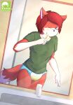  anthro brush brushing brushing_teeth canid canine diaper female fox hi_res luce_bontemps mammal mirror mirror_reflection morning reflection solo tired wet wet_body 