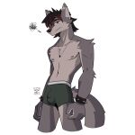  1:1 abs boxers_(clothing) bulge canid canine canis clothing hi_res humanoid male male/male mammal solo uglyvgly_(artist) underwear wolf 